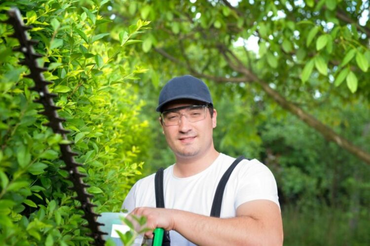 Consulting Arborist Sydney