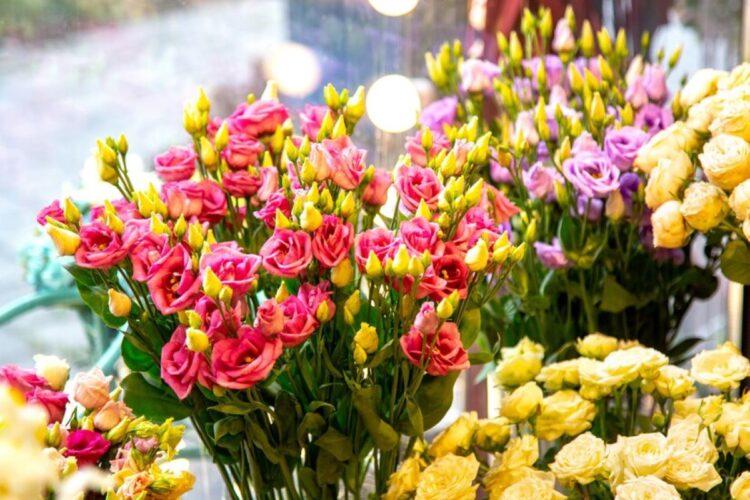 Chatswood Flowers